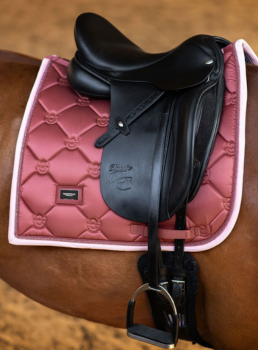 Equestrian Stockholm