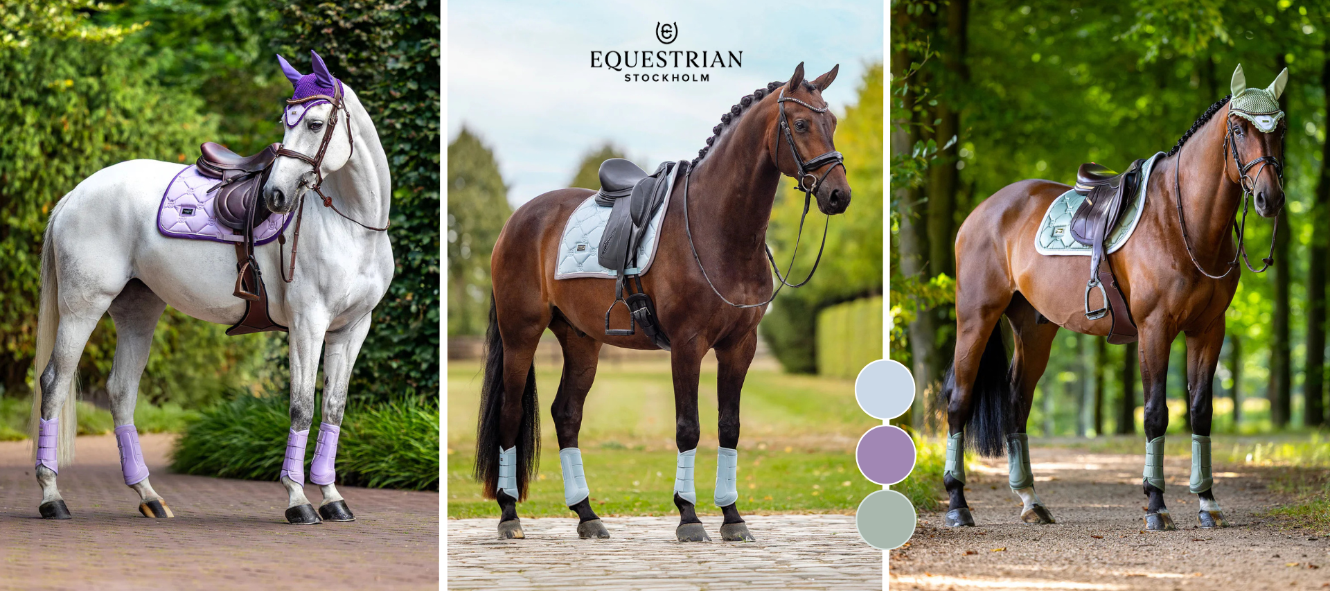 Equestrian Stockholm