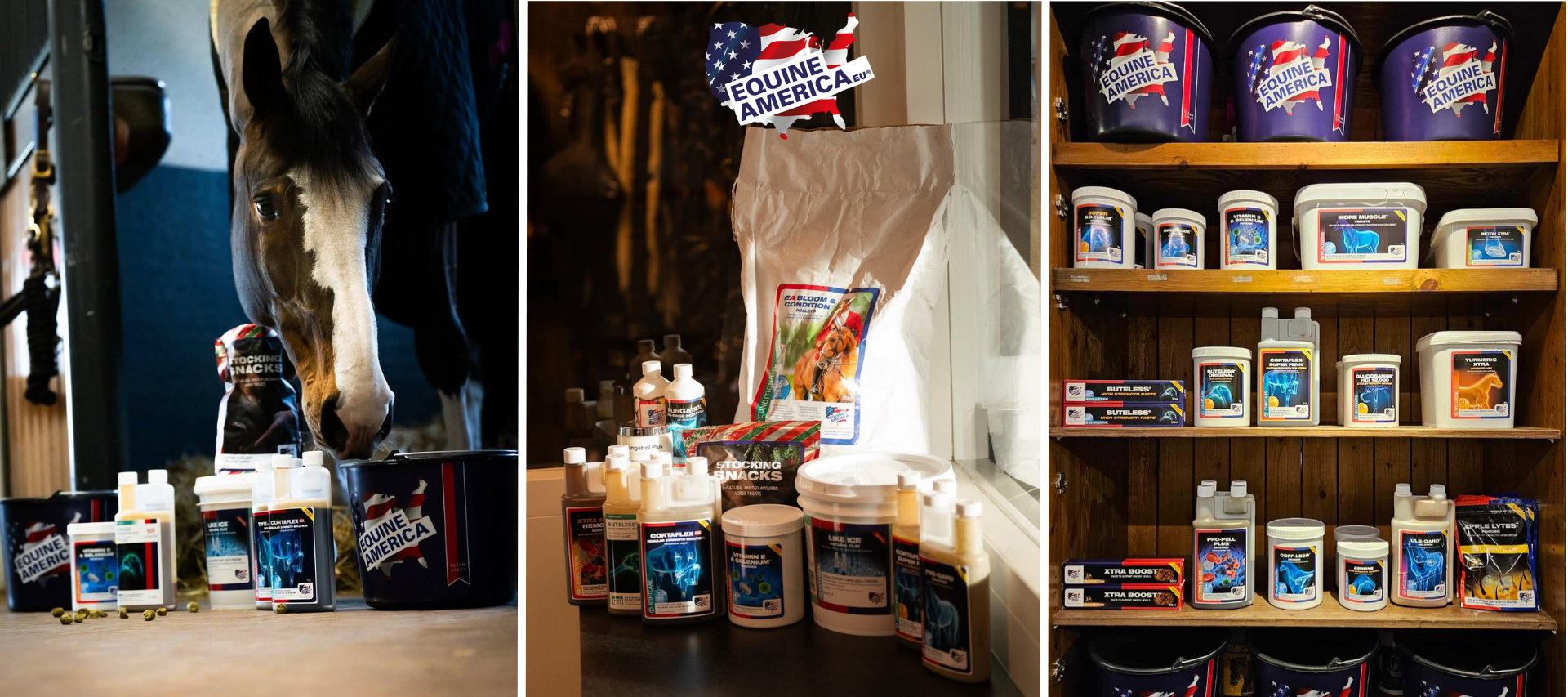 Equine America