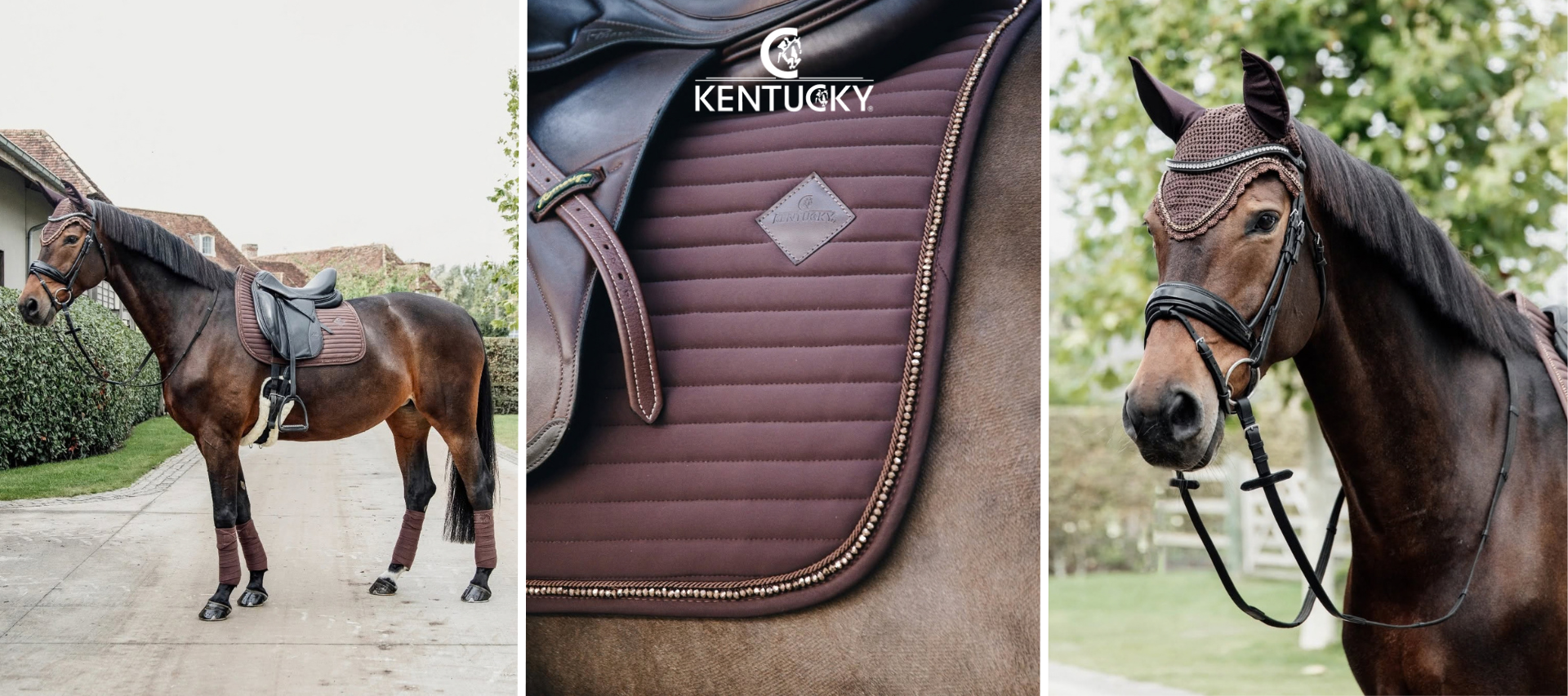 Kentucky