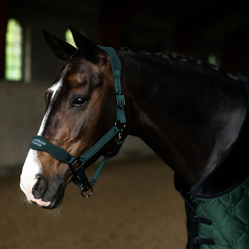 Недоуздок анатомічний Fleece Sycamore Green, Equestrian Stockholm
