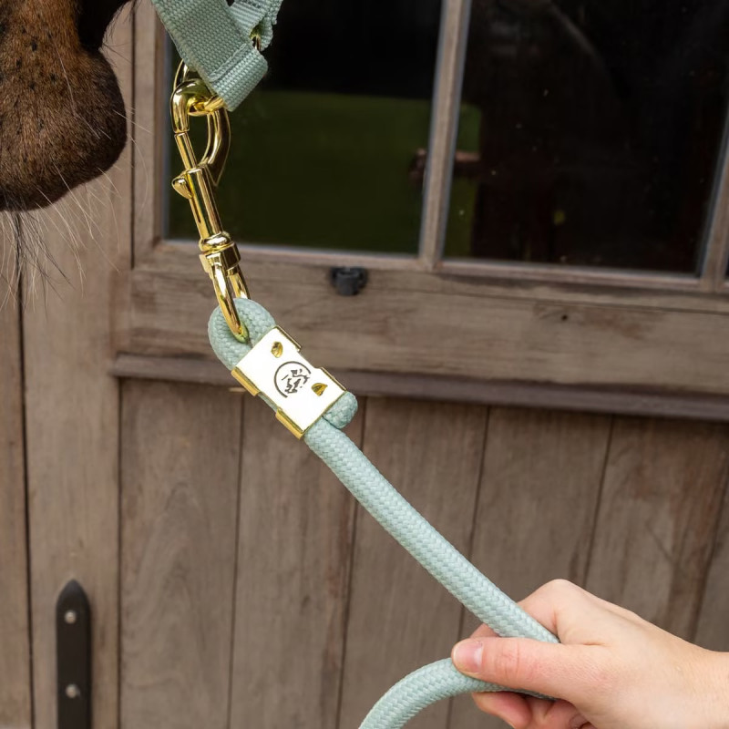 Чомбур Lead Rope, Kentucky