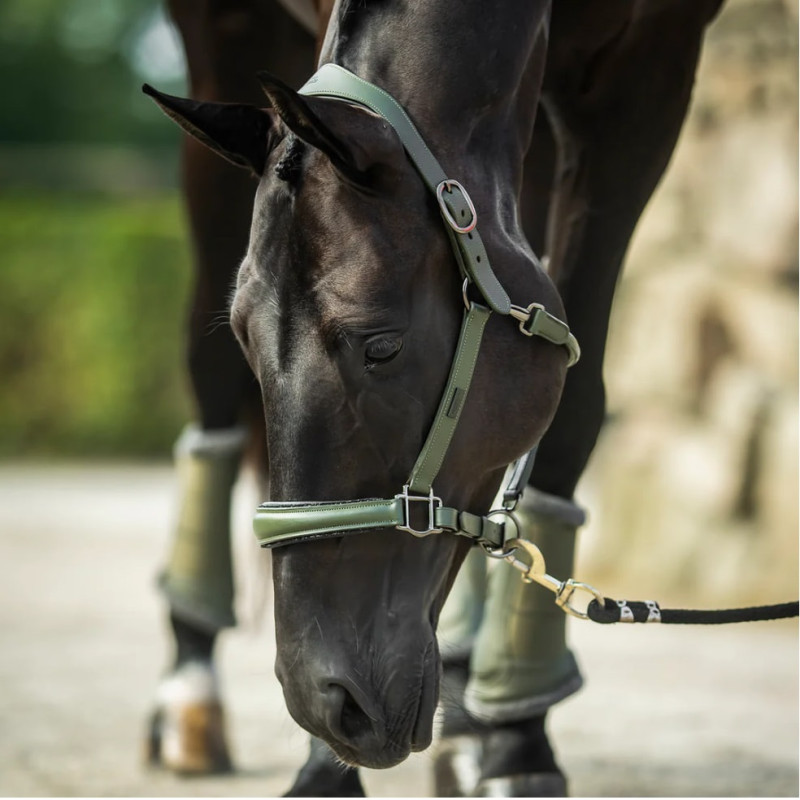 Недоуздок анатомічний шкіряний Striking Valleyt, Equestrian Stockholm