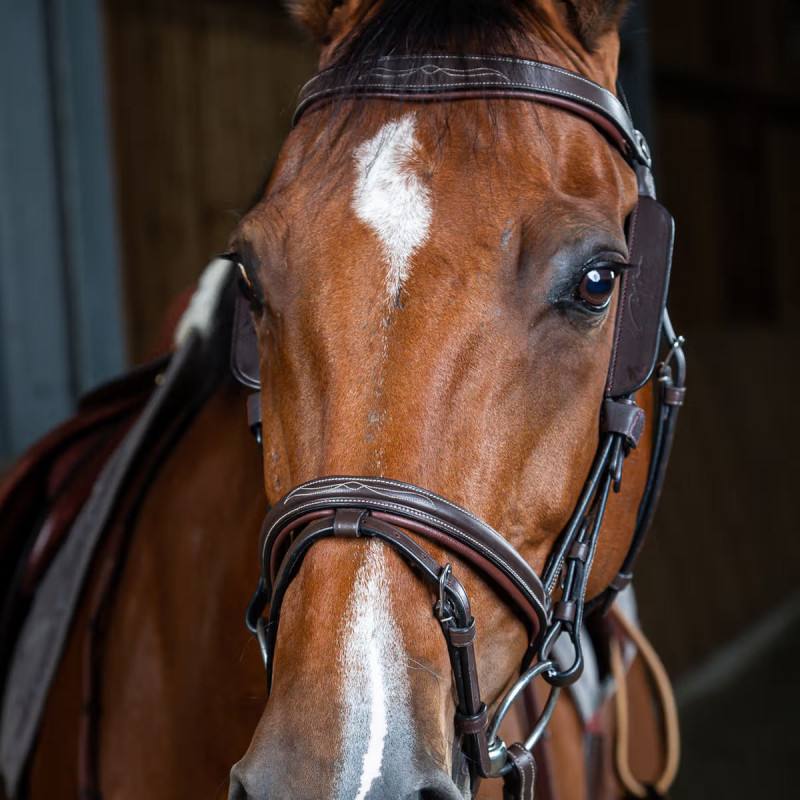 Підкладка шкіряна під нащічні ремінці, Dyon