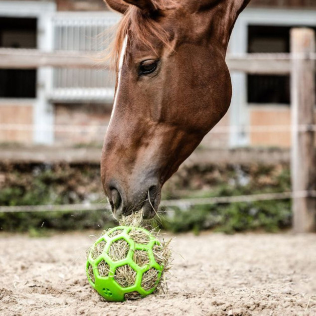 М'яч іграшка для сіна коня Hayball, Waldhausen