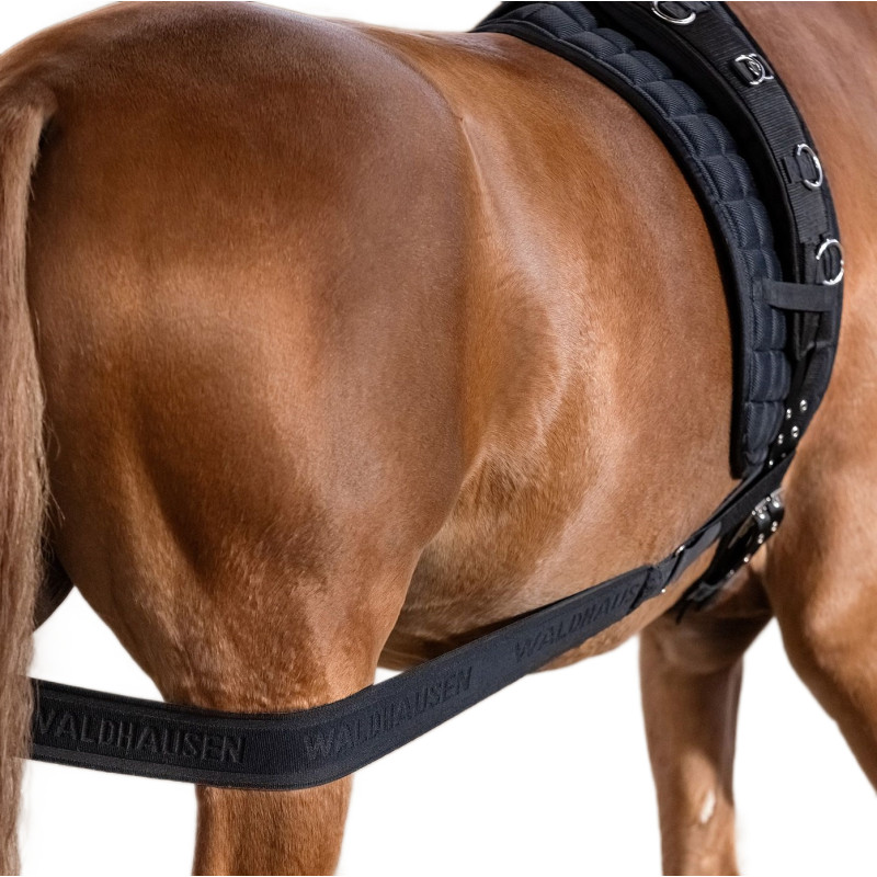 Бандаж допоміжний для роботи на корді, Waldhausen