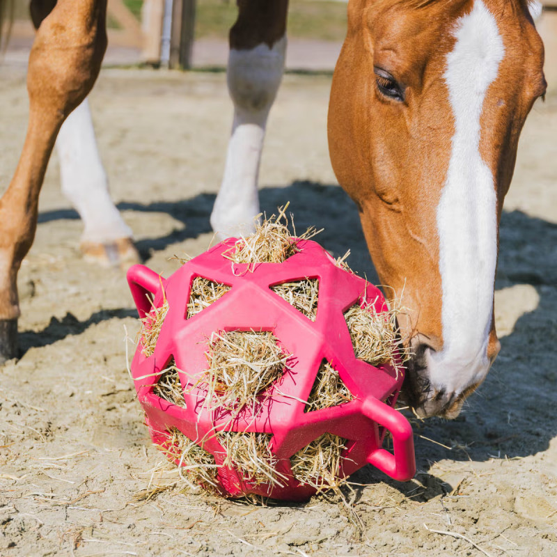 М'яч іграшка для сіна коня Play & Hay Ball, Kentucky