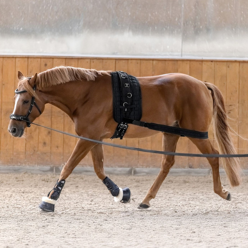 Бандаж допоміжний для роботи на корді, Waldhausen