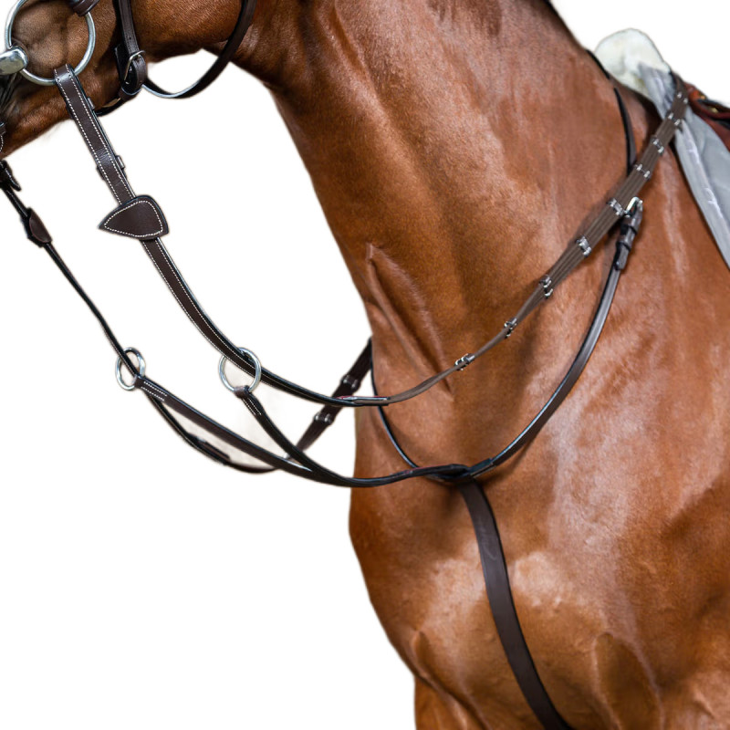 Мартингал ковзний, Dyon