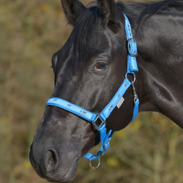 Недоуздок Horsemotif, Waldhausen