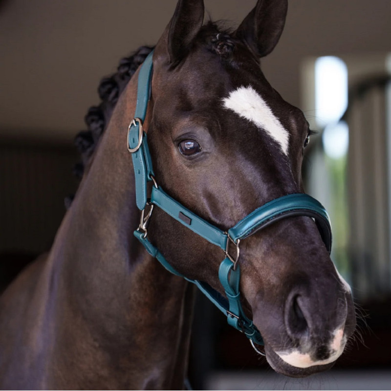 Недоуздок анатомический кожаный Teal Blue, Equestrian Stockholm