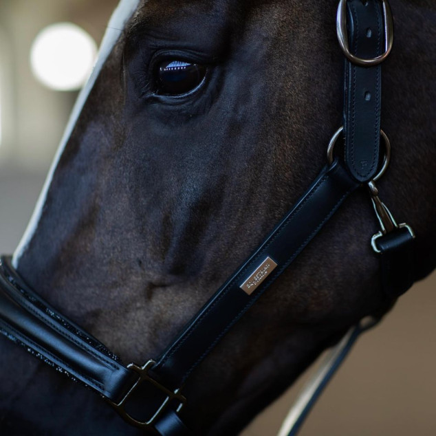 Недоуздок шкіряний Black Edition, Equestrian Stockholm