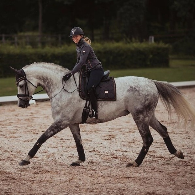 Вальтрап Dark Sky, Equestrian Stockholm