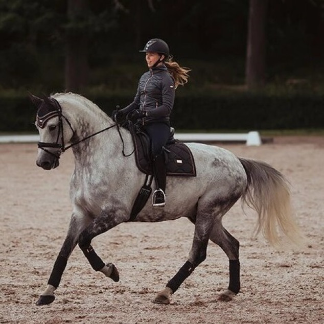 Вальтрап Dark Sky, Equestrian Stockholm