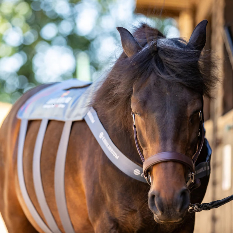 Пад масажний Heatsense, Equilibrium