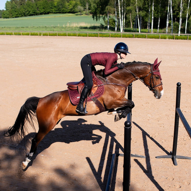 Вальтрап New Maroon, Equestrian Stockholm