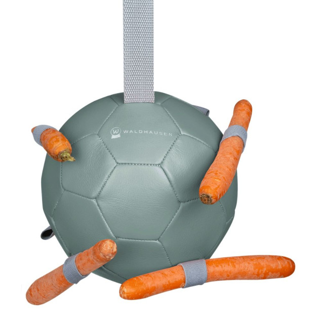 М'яч іграшка для коня Carrotball, Waldhausen