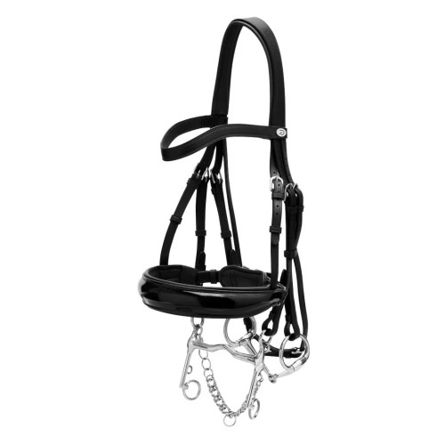 Мундштучне оголов'я, Dyon