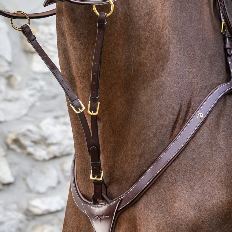 Мартінгал трикутник Running D Collection, Dyon