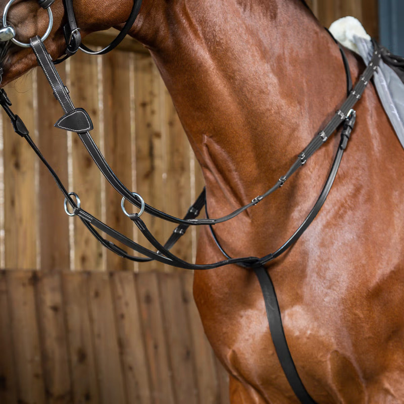 Мартингал ковзний, Dyon