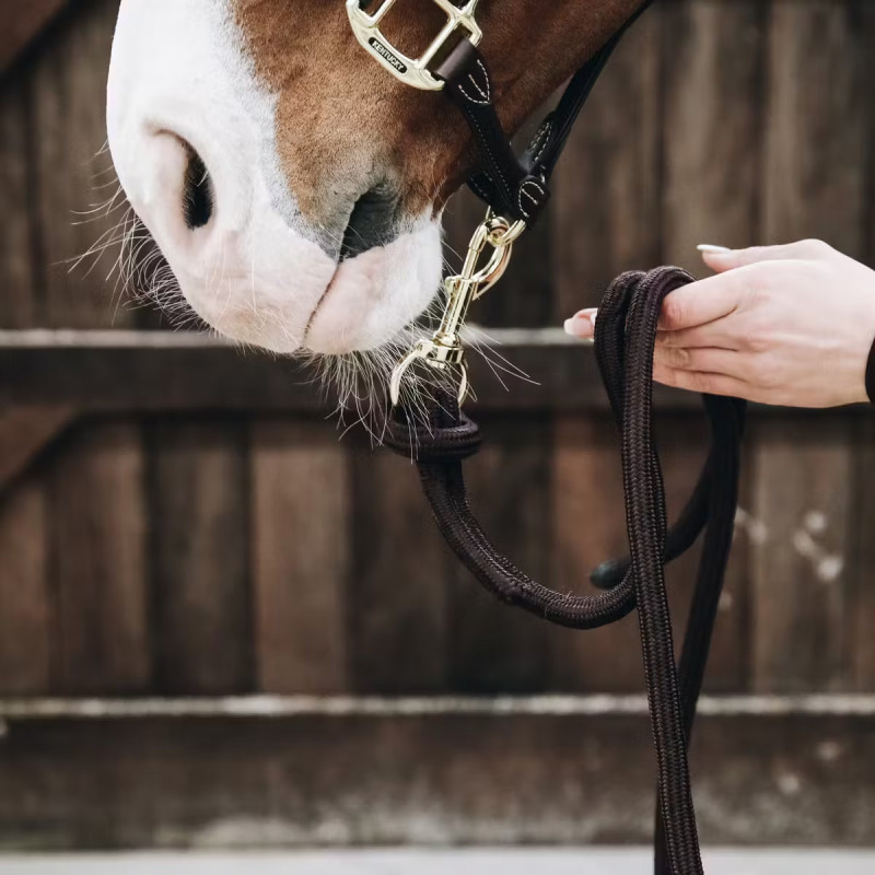 Чомбур Lead Rope 2.80m, Kentucky
