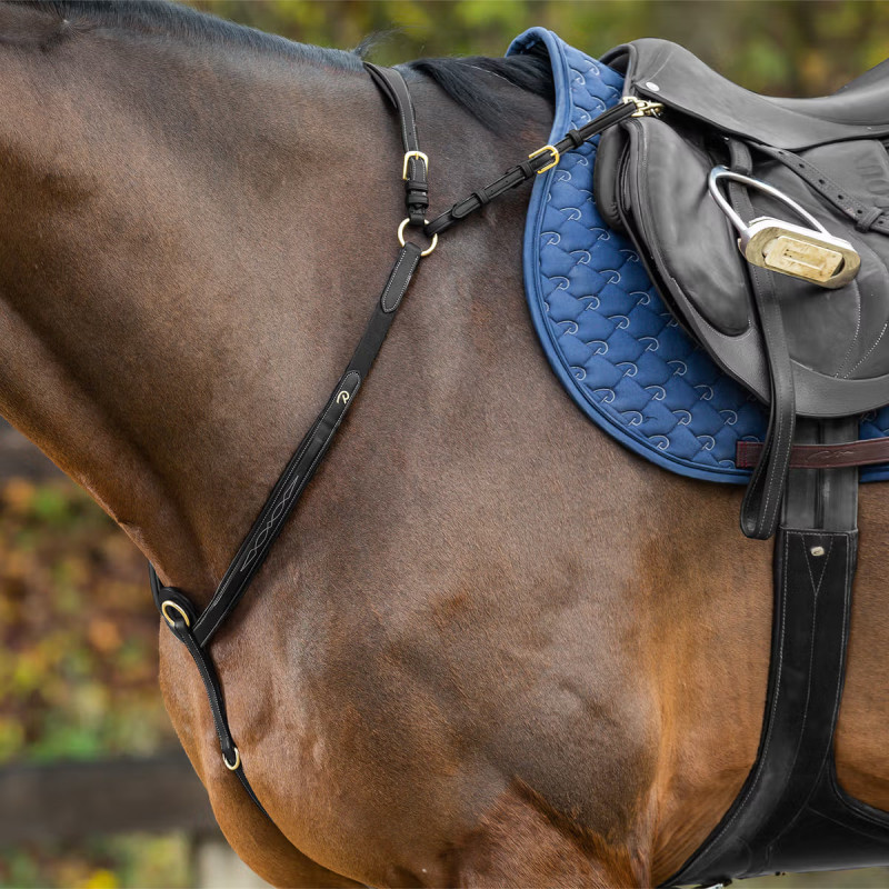 Підперстя без мартингалу D Collection, Dyon