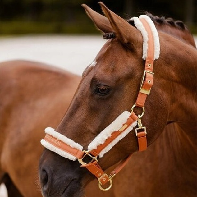 Недоуздок хутряний з чомбуром Bronze Gold, Equestrian Stockholm