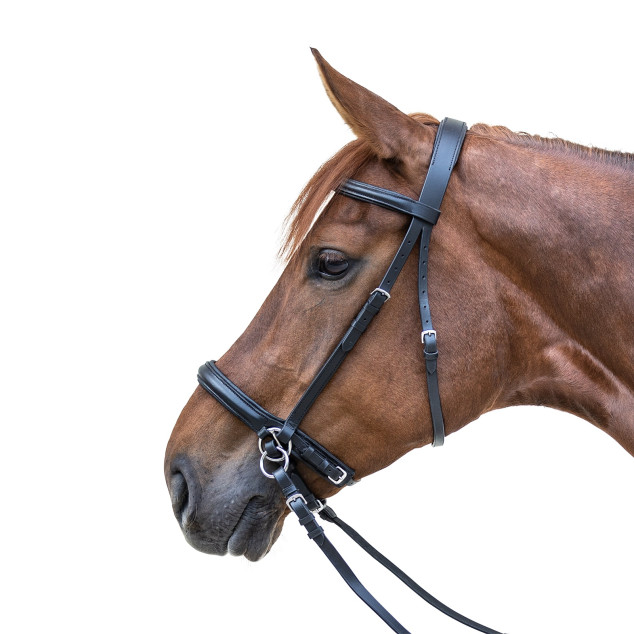 Вуздечка безтрензельна Bitless Bridle Star, Waldhausen