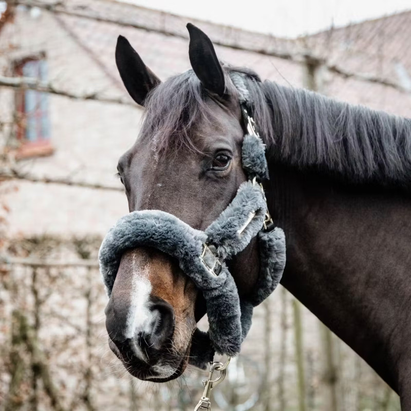 Недоуздок хутряний Sheepskin Shipping, Kentucky