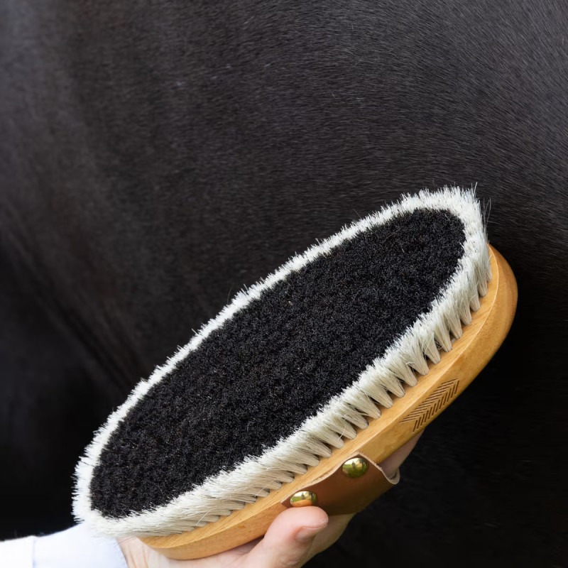 Щітка для догляду за конем Body Shine, Grooming Deluxe