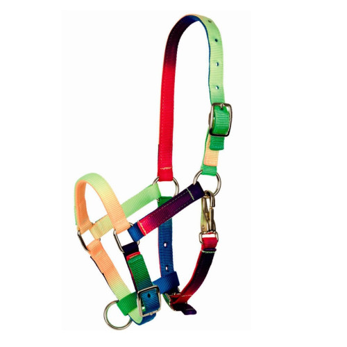 Недоуздок для жеребят Multicolor, Tattini