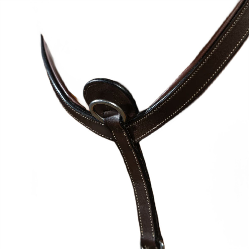 Підперстя без мартингалу, Dyon