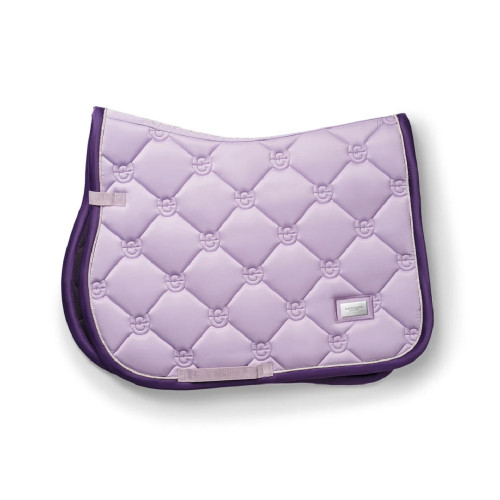 Вальтрап Lavender, Equestrian Stockholm