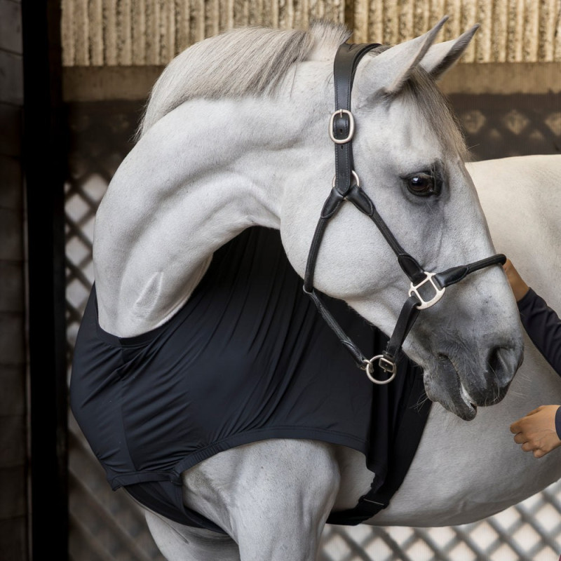 Бандаж под попону от натирания KLMitzi, Kingsland