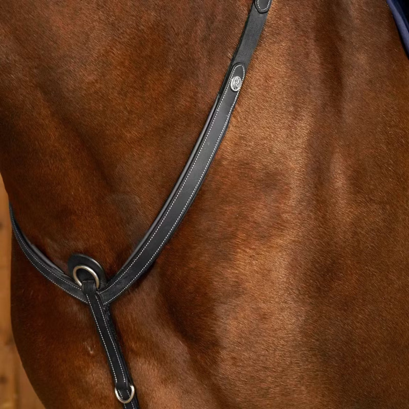 Підперстя без мартингалу, Dyon