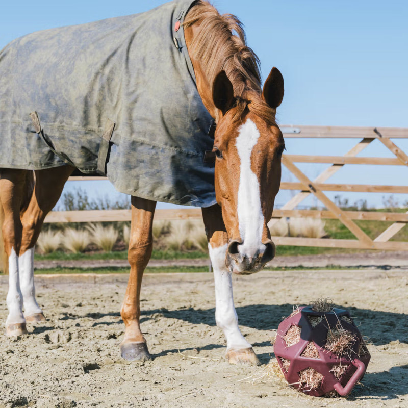 М'яч іграшка для сіна коня Play & Hay Ball, Kentucky
