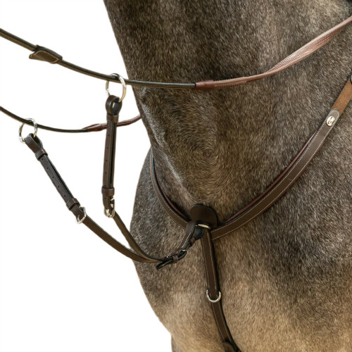 Мартингал ковзний Attachment, Dyon