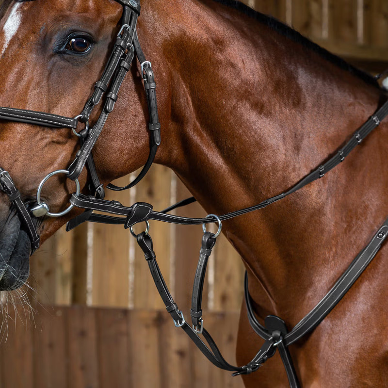 Мартингал ковзний Attachment, Dyon