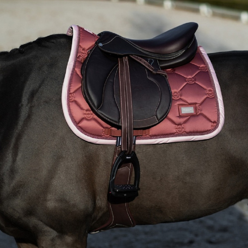 Вальтрап Amber Rose, Equestrian Stockholm