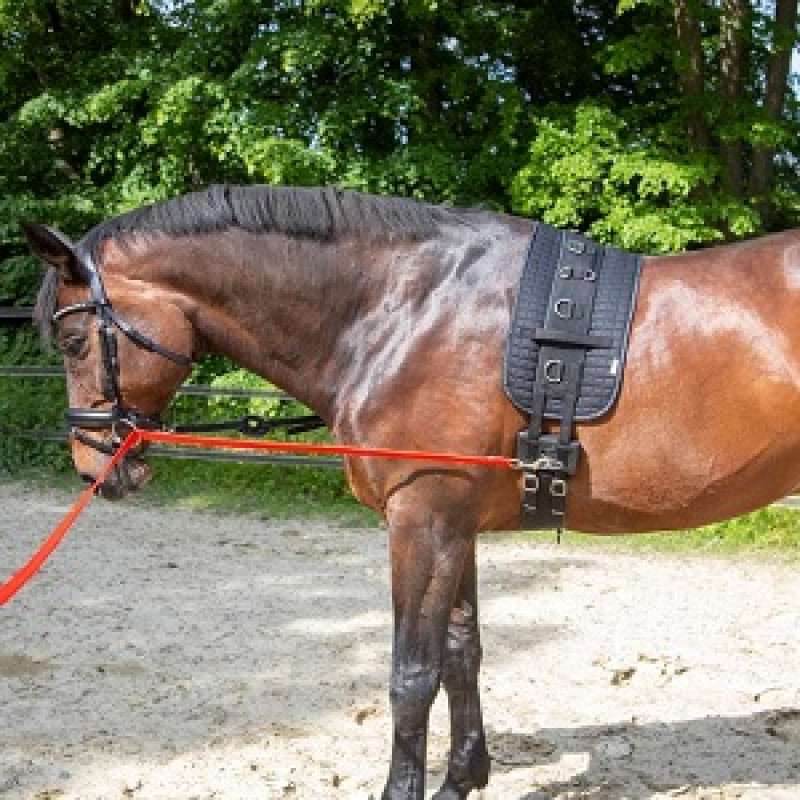 Шпора для роботи на корді Equibender, Waldhausen