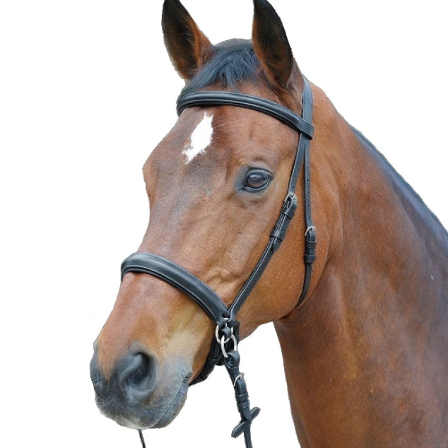 Вуздечка безтрензельна Bitless Bridle Star, Waldhausen