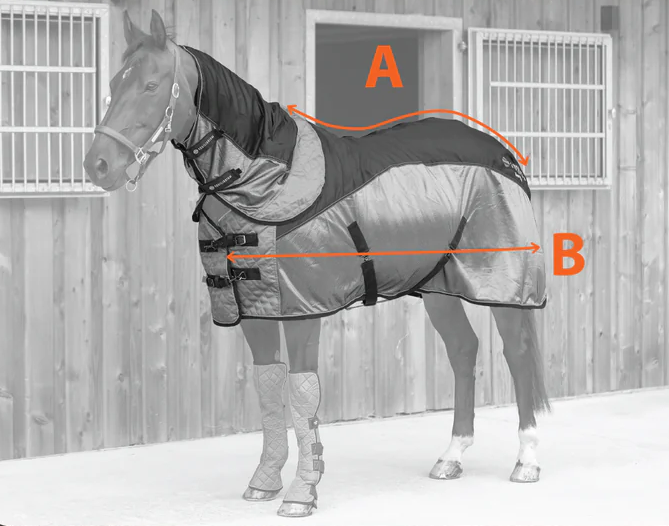 Розміри попон